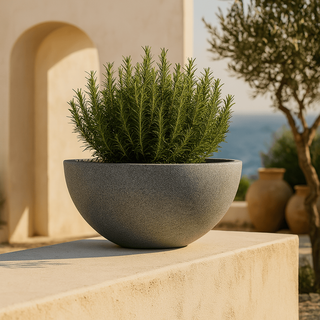 Donica Molio Bowl 60x25h TMBO60